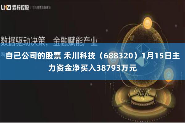 自己公司的股票 禾川科技（688320）1月15日主力资金净买入38793万元