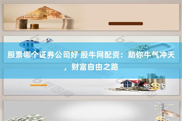 股票哪个证券公司好 股牛网配资：助你牛气冲天，财富自由之路