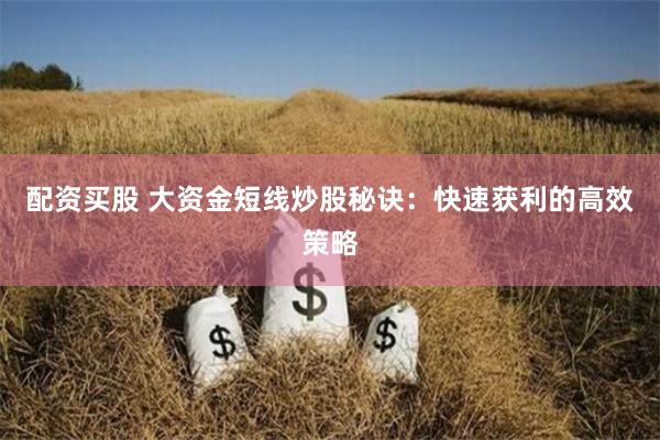 配资买股 大资金短线炒股秘诀：快速获利的高效策略
