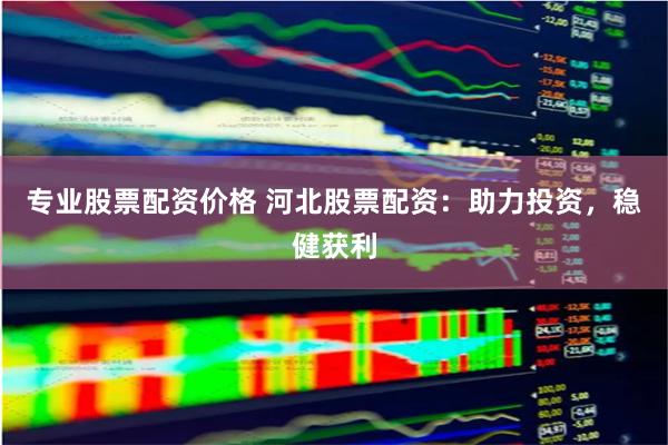 专业股票配资价格 河北股票配资：助力投资，稳健获利