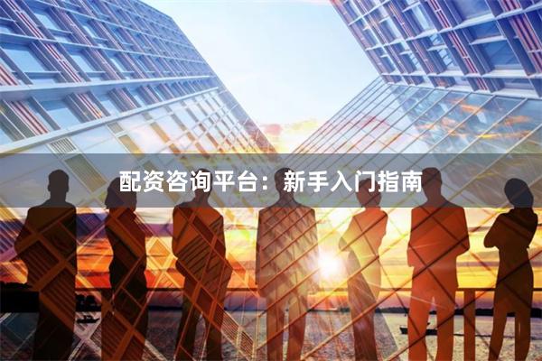 配资咨询平台：新手入门指南