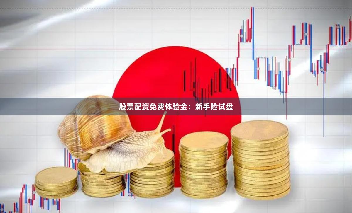 股票配资免费体验金：新手险试盘