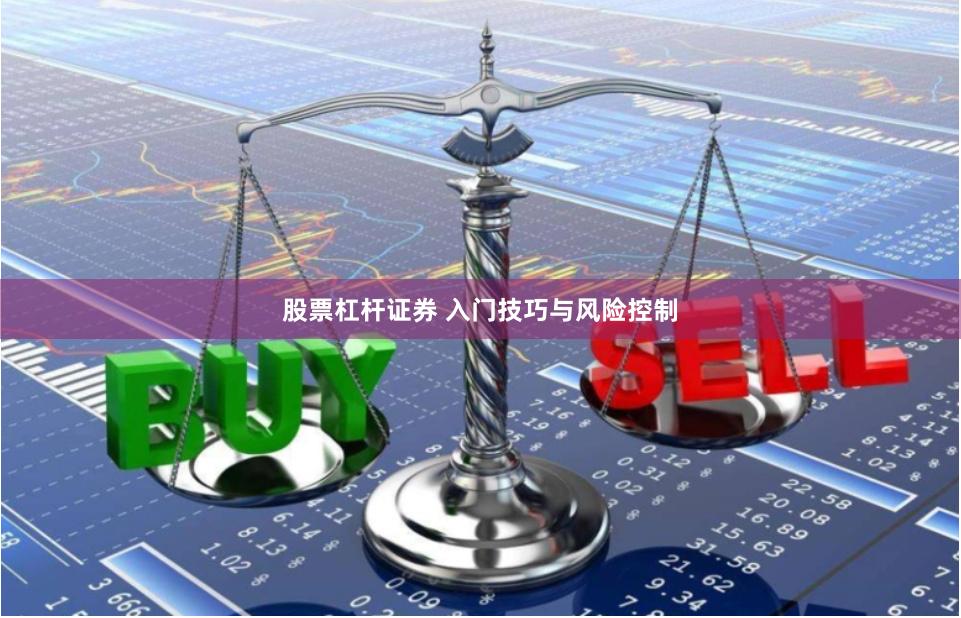 股票杠杆证券 入门技巧与风险控制